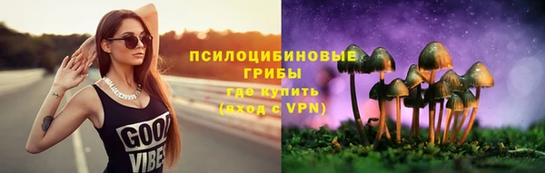 первитин Володарск